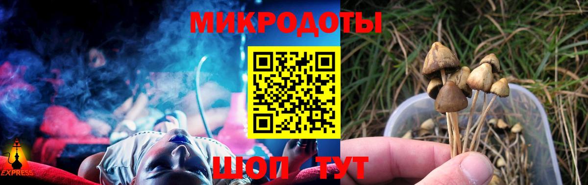 Норильск  Галлюциногенные грибы Cubensis  Вход с VPN 